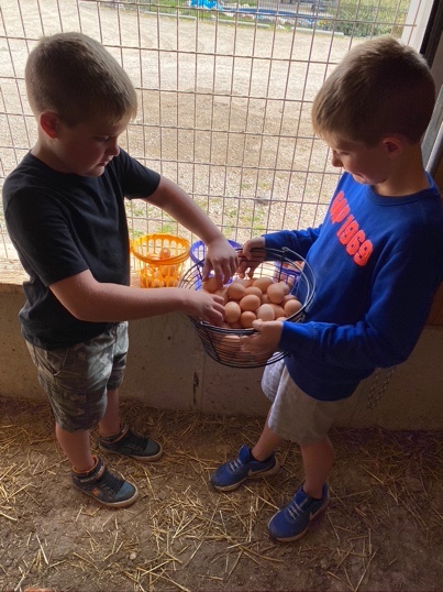 2 bows holdin a bowl of eggs